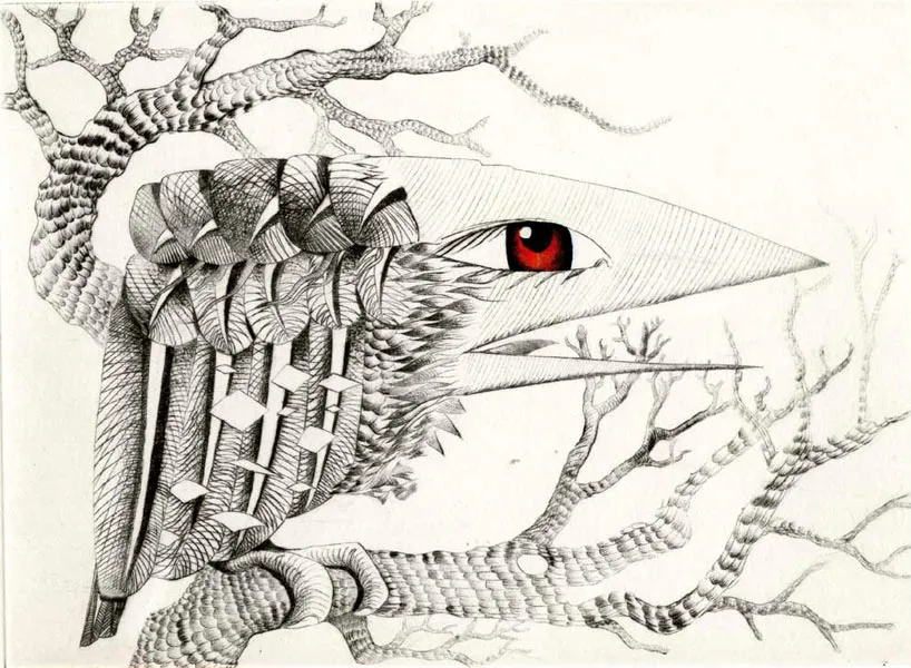 Oiseau œil rouge, gravure de Jean-Marie Munier