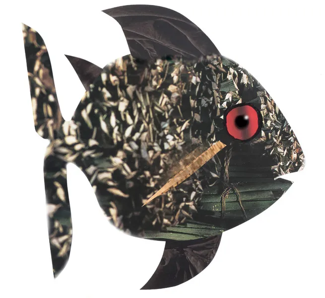 Poisson tif, illustration de Jean-Marie Munier